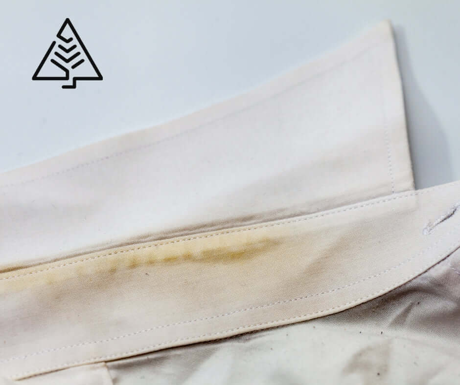 𝐍𝐞𝐭𝐭𝐨𝐲𝐞𝐫 𝐥𝐞𝐬 𝐜𝐨𝐥𝐬 𝐝𝐞 𝐜𝐡𝐞𝐦𝐢𝐬𝐞 - BioLeven.com